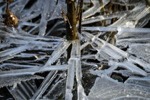 WINTER-THEATER von Beate Radziejewski