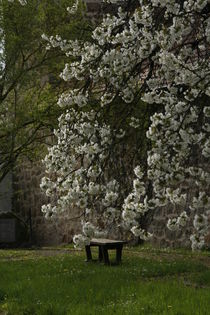 Wolz ́n Garten Ebern von Andrea Meister