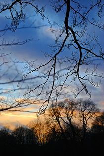 Englischer Garten... 159 by loewenherz-artwork