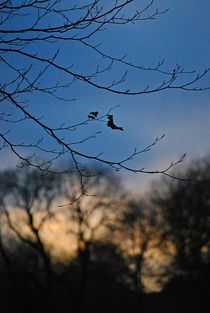 Englischer Garten... 164 by loewenherz-artwork