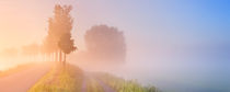 Foggy sunrise in typical polder landscape in The Netherlands von Sara Winter