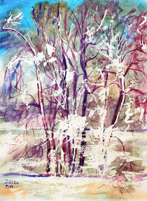 Winterlandschaft von Irina Usova