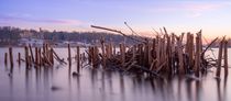 Der See liegt still von Katja Bartz