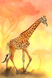 Giraffe by darlya
