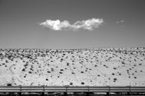 In der Wüste by Bastian  Kienitz