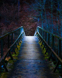 The mystical bridge von Thomas Matzl