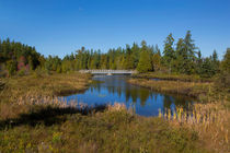 Shingleton Lakes. von David Hare