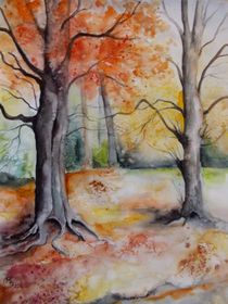 herbstllcher Buchenwald by Dorothy Maurus