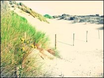 ~Beautiful Protected Dunes~ by Sandra  Vollmann