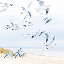 Strand von Ruby Lindholm