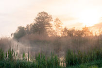 Nebel über dem Fluss by Franziska Mohr