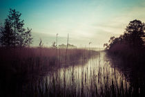 Fluss im Nebel farbig by Franziska Mohr