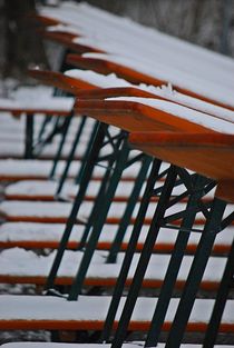 Winter im Englischen Garten... 13 by loewenherz-artwork