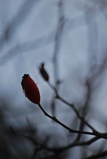 Winter im Englischen Garten... 16 von loewenherz-artwork