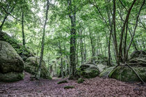 Roques Encantades III (Catalonia)  by Marc Garrido Clotet