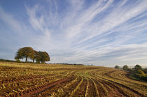 After the Harvest von Pete Hemington