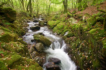 River Lyd on Dartmoor von Pete Hemington