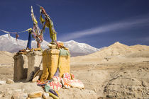 View into Kingdom of Mustang von Frank Tschöpe