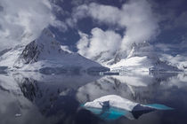 Icebergs in Antarctica by Frank Tschöpe