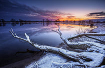 Die Elbe bei Bleckede by photoart-hartmann