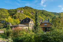 Forellenhof mit Laukenburg im Wispertal 4 von Erhard Hess