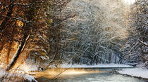 Sunny Winter River by Thomas Matzl