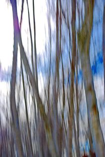 winter trees... 1 by loewenherz-artwork