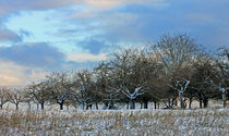 Ein bisschen Winter... by Marion Bönner