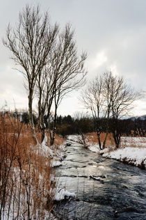 Grey day at Attel creek von Thomas Matzl