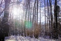  Winter Landschaft von aseifert