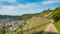 Alken mit Burg Thurant 1 von Erhard Hess