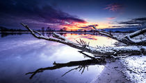 Die Elbe bei Bleckede II by photoart-hartmann