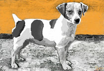 ~Jack Russell Orange ~ von Sandra  Vollmann