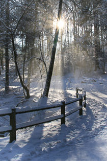 Ein schöner Wintertag 2 by Bernhard Kaiser