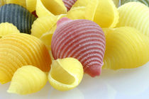 Conchiglie Multicolore | Bunte Pasta by lizcollet