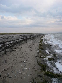 Kopf hoch und einfach weitergehen auf Fehmarn von Simone Marsig