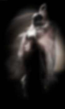 Blur or Defocus image of phantom of ballerina von Ales Munt