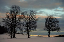 blue eyed evening sky by Thomas Matzl