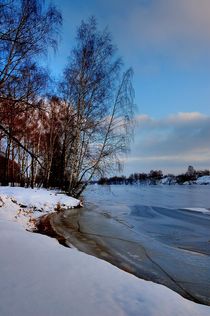 Cold beauty von Yuri Hope