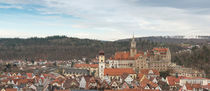 Sigmaringen | Stadtpanorama | Südansicht by Thomas Keller