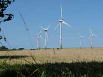 Windräder im Kornfeld auf Fehmarn by Simone Marsig