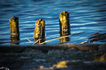 am Meer by Manuela Zager