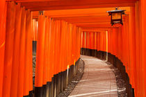 Torii gates of the Fushimi Inari Shrine in Kyoto, Japan von Sara Winter