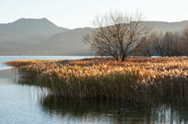 Bergsee von Thomas Matzl