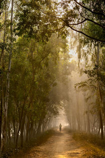 A Lone Journey by Minhajul Haque