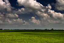 A Dance with The Wind von Minhajul Haque