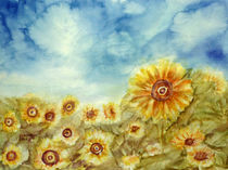 Sonnenblumenfeld von Irina Usova