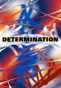 Determination  by Vincent J. Newman