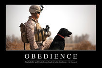 Obedience Motivational Poster by Stocktrek Images