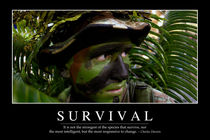 Survival Motivational Poster von Stocktrek Images